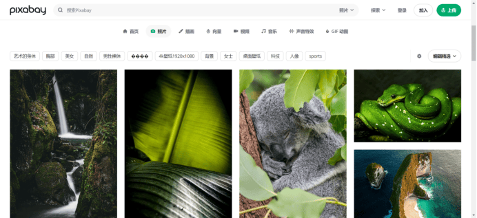 探索数字世界的宝藏，白姐图库的魅力与价值