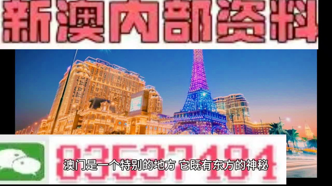 2046新澳门天天开好彩大全，正版玩家的智慧之选