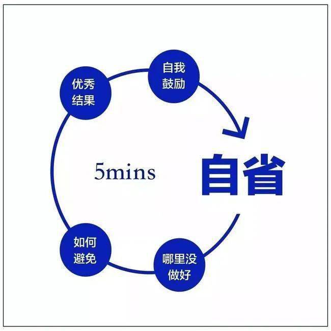 免费资料与正版资料的平衡之道，构建知识共享的未来