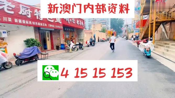 澳门天天开好彩大全，2046期深度解析与未来展望