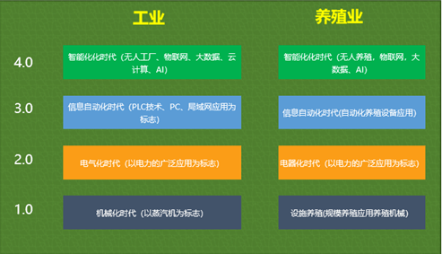 探索二肖3码的奥秘，数字背后的智慧与策略