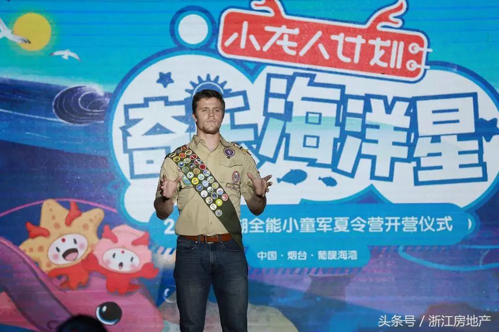 探索小龙人高手论坛，网络社区的智慧与激情