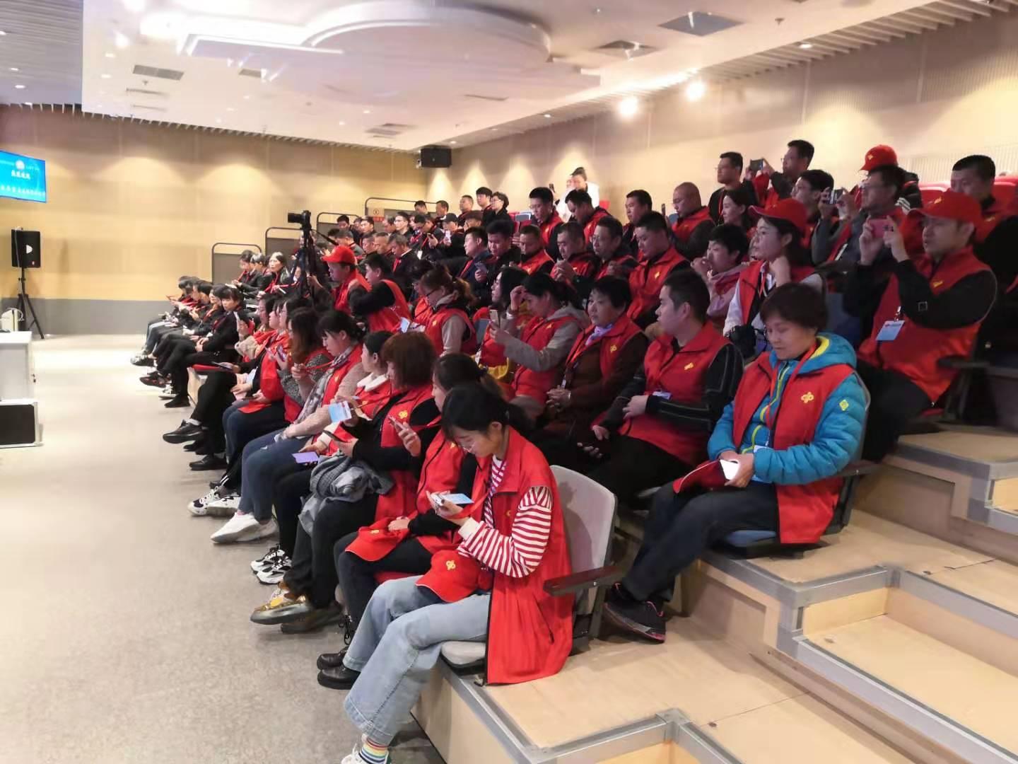 今晚揭晓，双色球结果开奖号码的神秘面纱