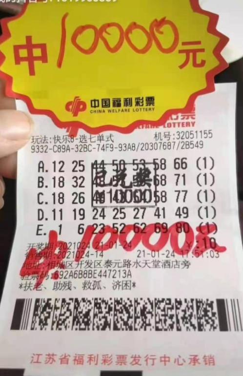 福彩开奖结果查询公告，透明、公正的背后与公众期待