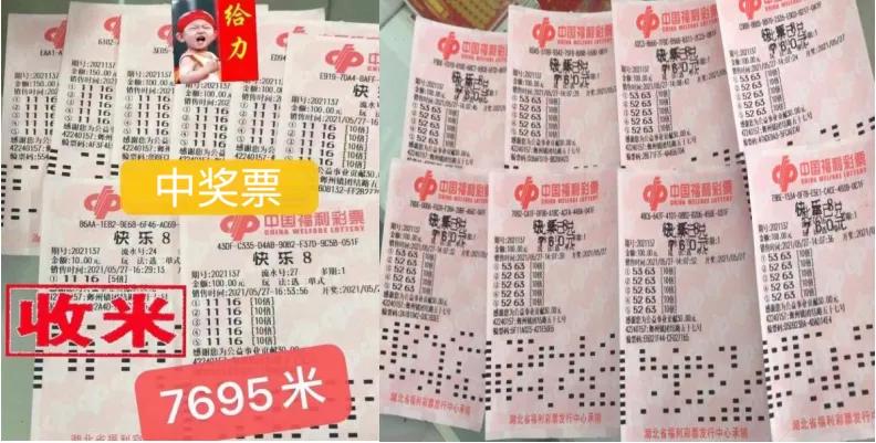 福彩快乐8，开奖号码走势图与理性投入的智慧
