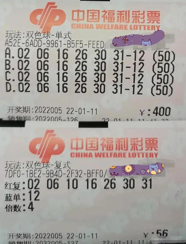 204期双色球开奖揭晓，最新号码背后的幸运故事与数字奥秘
