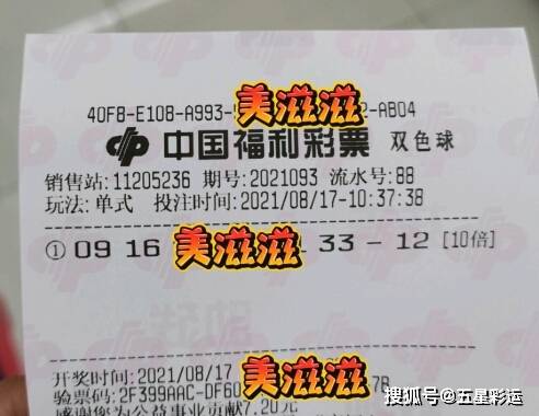 最新双色球开奖号码2019年回顾，幸运的数字与梦想成真的瞬间