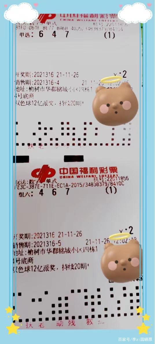 排列3D试机号今日揭秘，数字游戏中的智慧与乐趣
