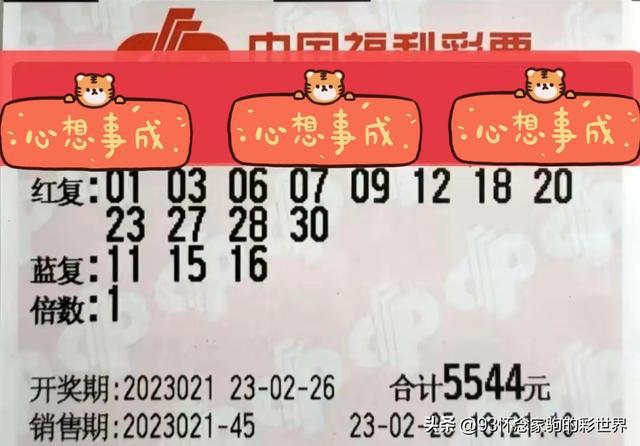 2019年第67期双色球开奖号码揭晓，幸运的数字与梦想成真