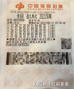 福彩网双色球开奖号码查询，揭秘幸运数字的奥秘