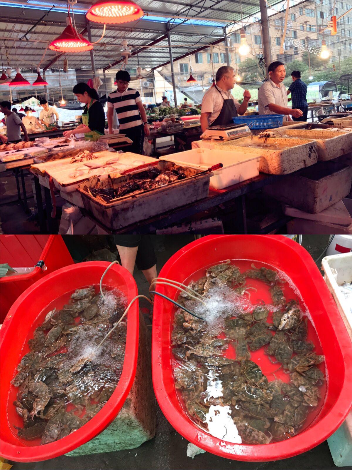 探索浙江12选5的独特魅力与玩法解析