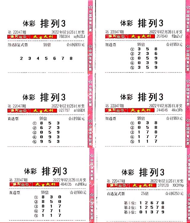 排列三，揭秘开奖公告与查询之道
