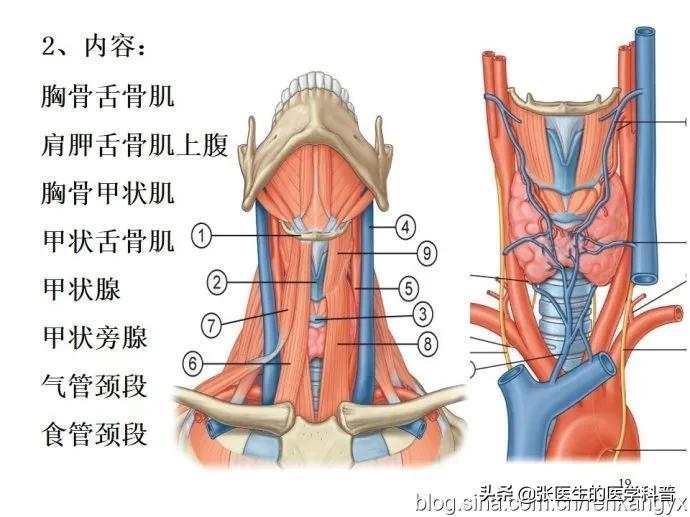 揭秘最准确的3D六码计划,理性与智慧的博弈