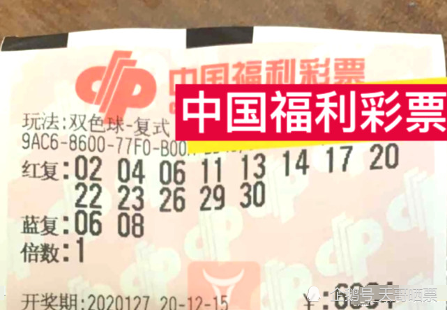 2013年双色球第5期开奖揭秘，梦想与现实的碰撞
