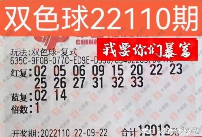 2019年双色球首月开奖回顾，幸运与惊喜的交织