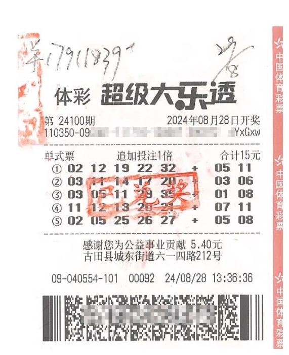 揭秘大乐透208期，数字背后的幸运与期待