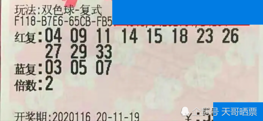2025年6月5日