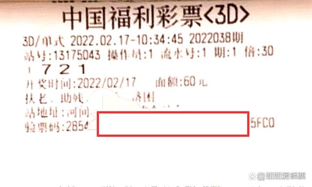 探索3D真精华，布衣第280期的深度解析