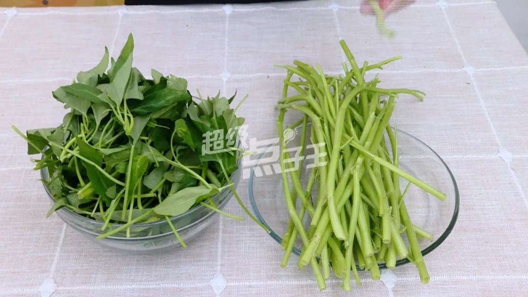 空心菜与双色球的奇妙碰撞，解锁生活小确幸的趣味指南